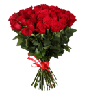 Розы Голландия